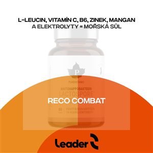 Reco Combat 2,5kg pomeranč mandarinka (Po výkonu - bojové a kontaktní sporty)