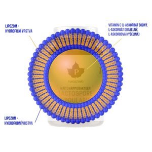 Liposomal Vitamin C 500mg 250ml pomeranč