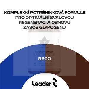 Reco Hydropower 700g čokoláda (Po výkonu - endurance, lehká atletika, funkční trénink)