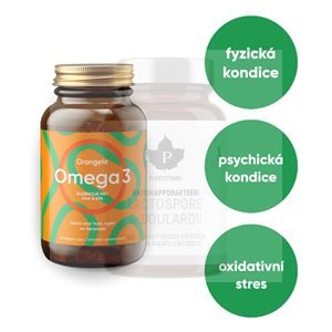 Omega 3 60 kapslí