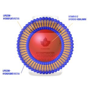 Liposomal Vitamin B12 60ml (Lipozomální B12)