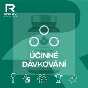 Glucosamine Chondroitin 90 kapslí