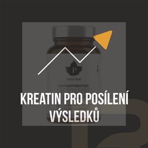 Instant Mass Heavy Weight 5,4kg borůvka - Varianta: vanilka