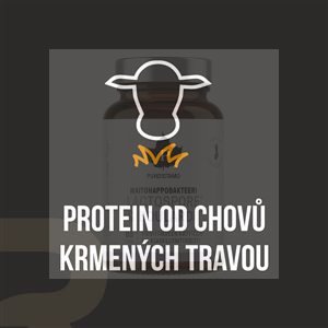 Instant Mass Heavy Weight 5,4kg borůvka - Varianta: vanilka