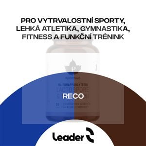 Reco Hydropower 2,5kg čokoláda (Po výkonu - endurance, lehká atletika, funkční trénink)