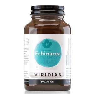 Echinacea 60 kapslí