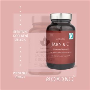 Järn and C 90 kapslí (Železo a Vitamín C)