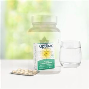 On Antibiotics (Probiotika při antibiotikách) 10 kapslí
