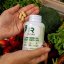 Supergreens and Gut Support 90 kapslí
