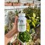 Supergreens and Gut Support 90 kapslí