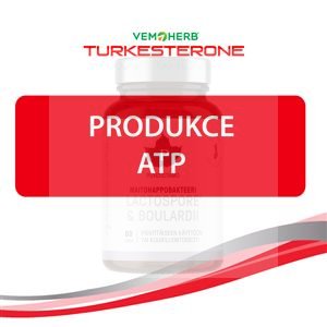 Turkesterone 60 kapslí