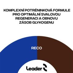 Reco Hydropower 700g čokoláda (Po výkonu - endurance, lehká atletika, funkční trénink)