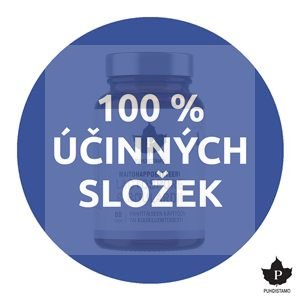 Instant Chaga Powder 28g (Instantní houba Chaga)