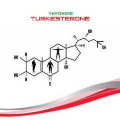 Turkesterone 60 kapslí