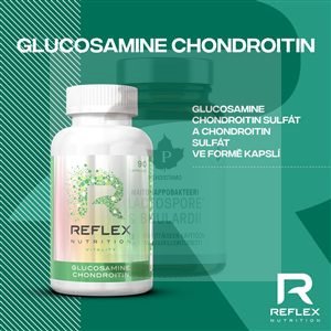 Glucosamine Chondroitin 90 kapslí